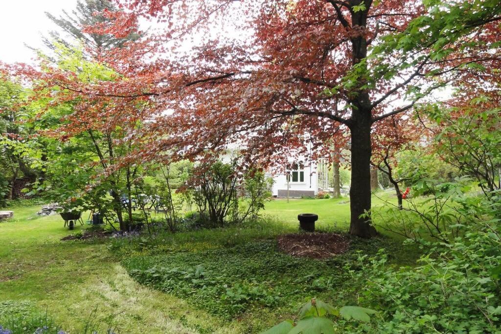 Skudeneshavn Charming Flat In Cosy Farmhouse מראה חיצוני תמונה